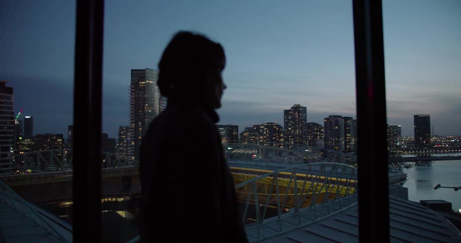 A man stands and looks out the window towards the water and a city skyline