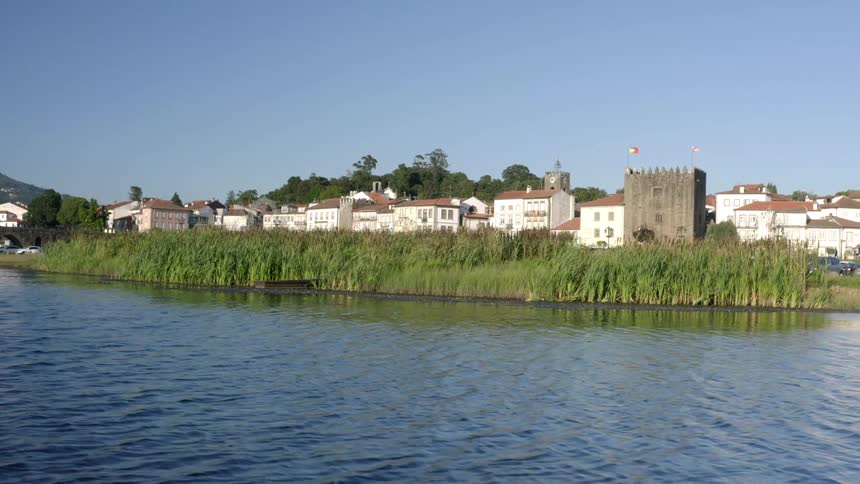 Birds fly over a river with tall grass and plants on the shoreline and buildings along the coast