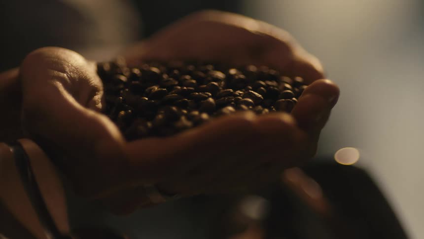 Person holding coffee beans