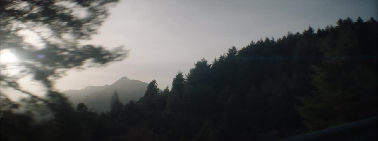 Ascending a mountain road through a forest in the evening