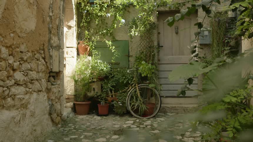 An old bicycle is leaning against a building among many plants and a cobblestone walkway