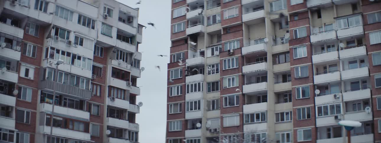 Seagulls fly near high rise apartment buildings with balconies