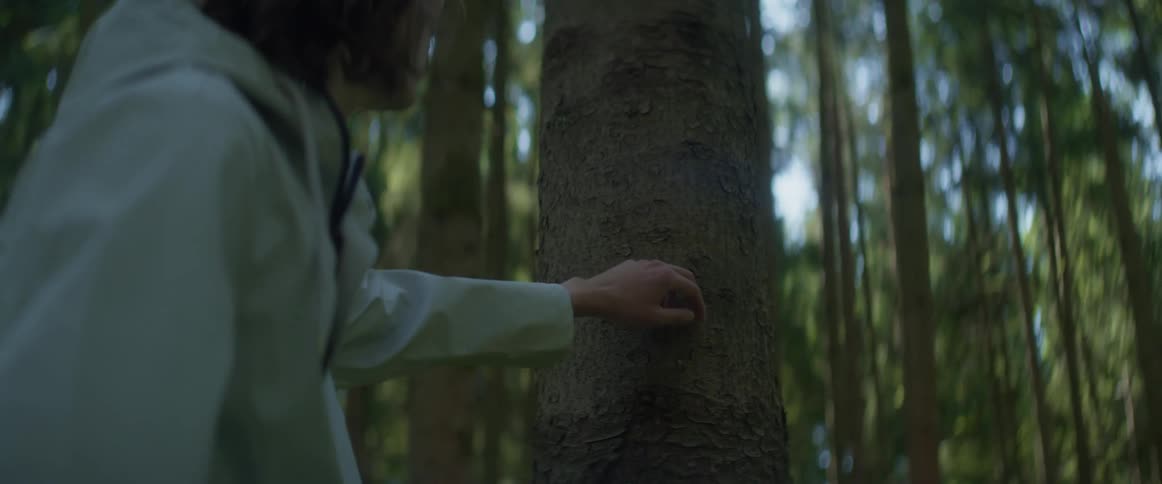 A man stopping to touch tree bark while hiking in a forest