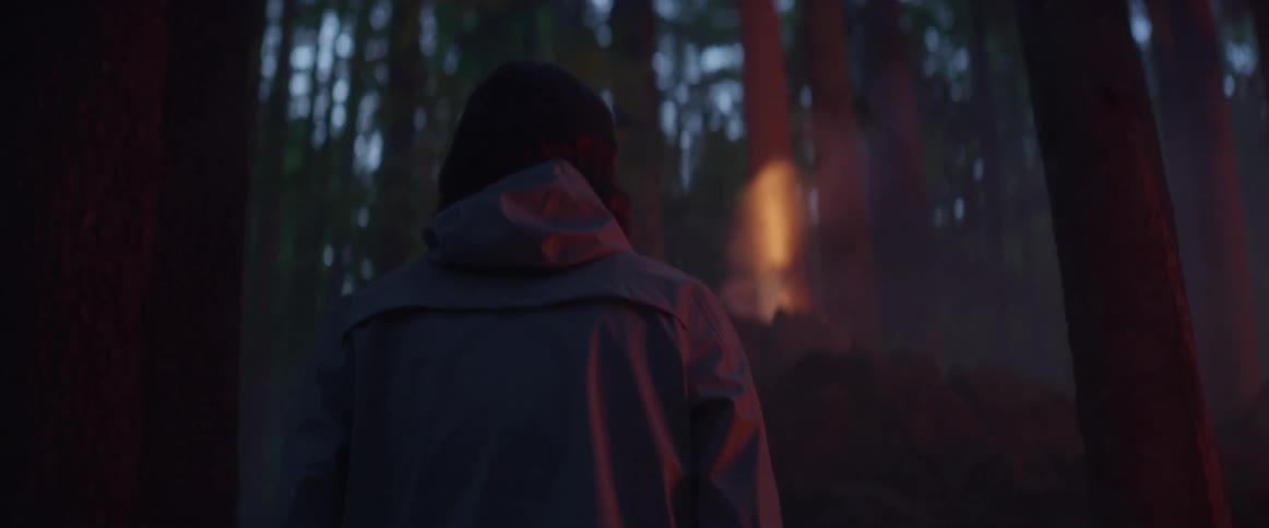 Man walks through forest approaching source of smoke that also releases light in dim surroundings