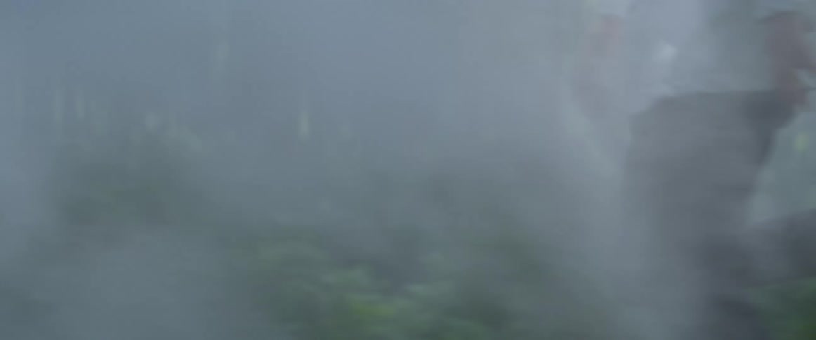 A person running in a forest with smoke trees and plants
