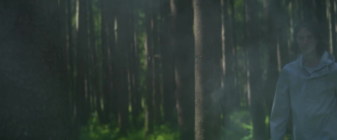 Person walking in forest