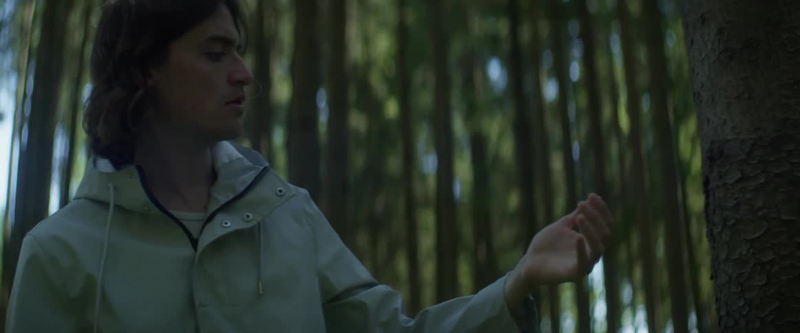 A man is standing in a forest and rubbing his hand on a tree trunk