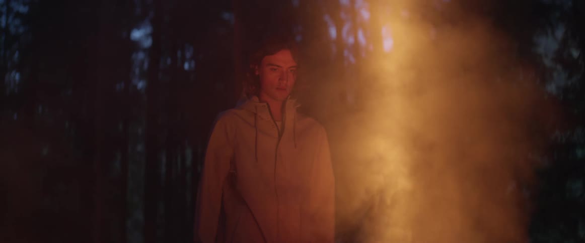 Man stands staring down as vapor rises from forest ground in column of light