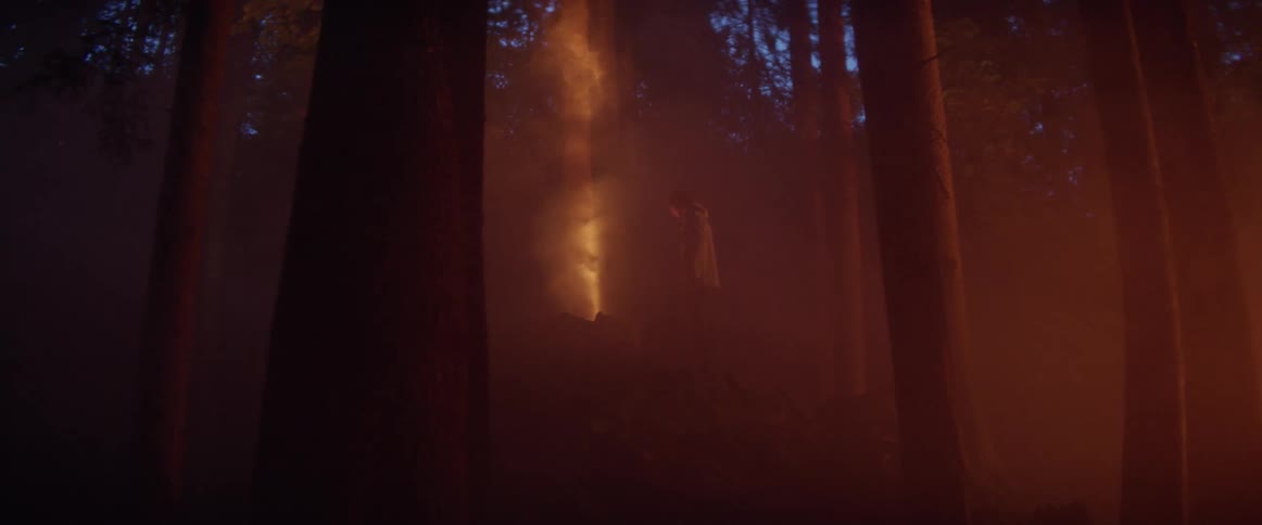 A person in a forest with trees with the sky and clouds in the background