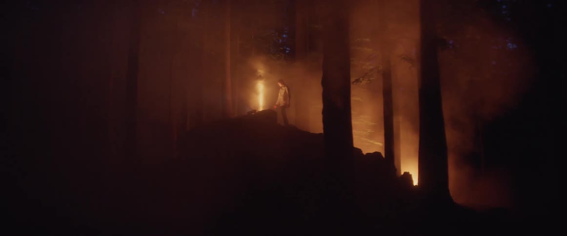 A person stands by a bonfire in a forest at night