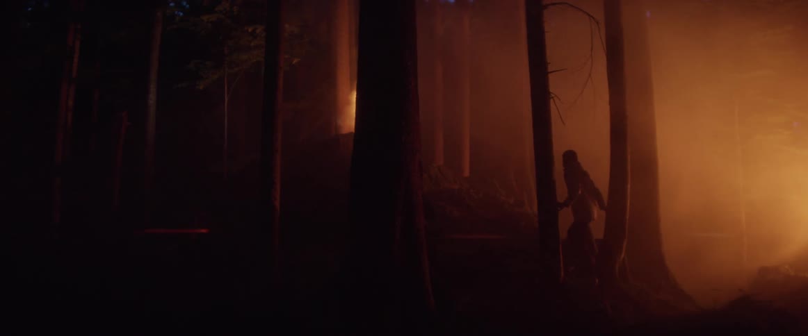 A silhouette of a person in a forest with smoke and trees