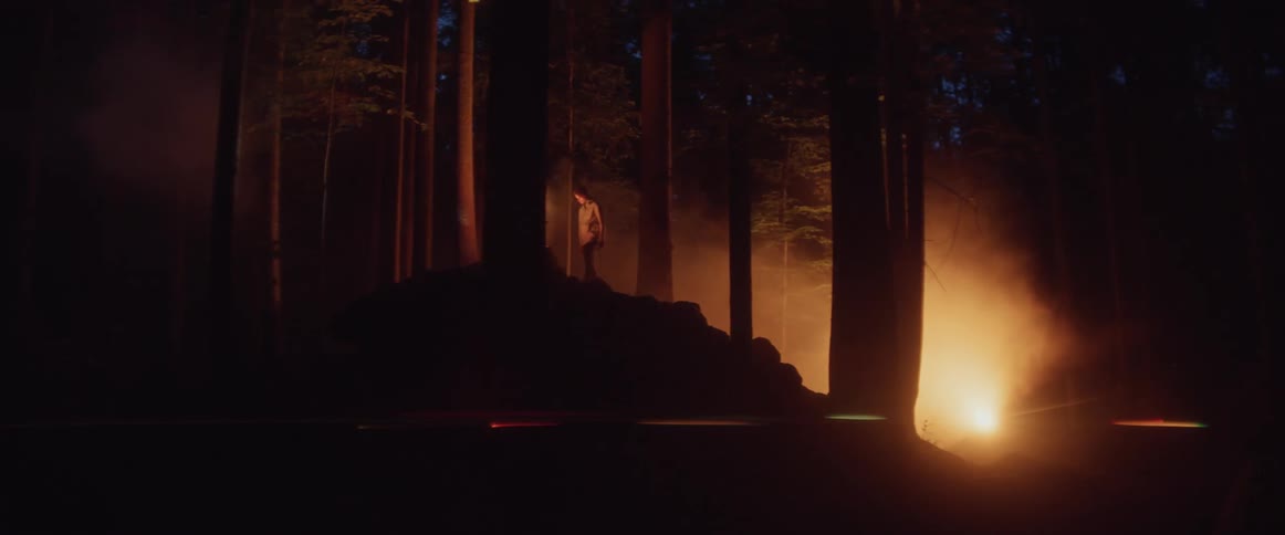Fire in a forest