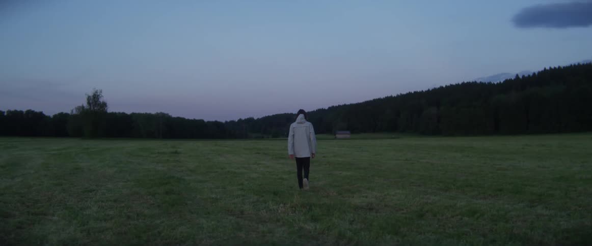 A person walks across an open field towards a forest