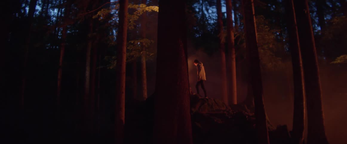 A person in a forest with trees with the sky and clouds in the background