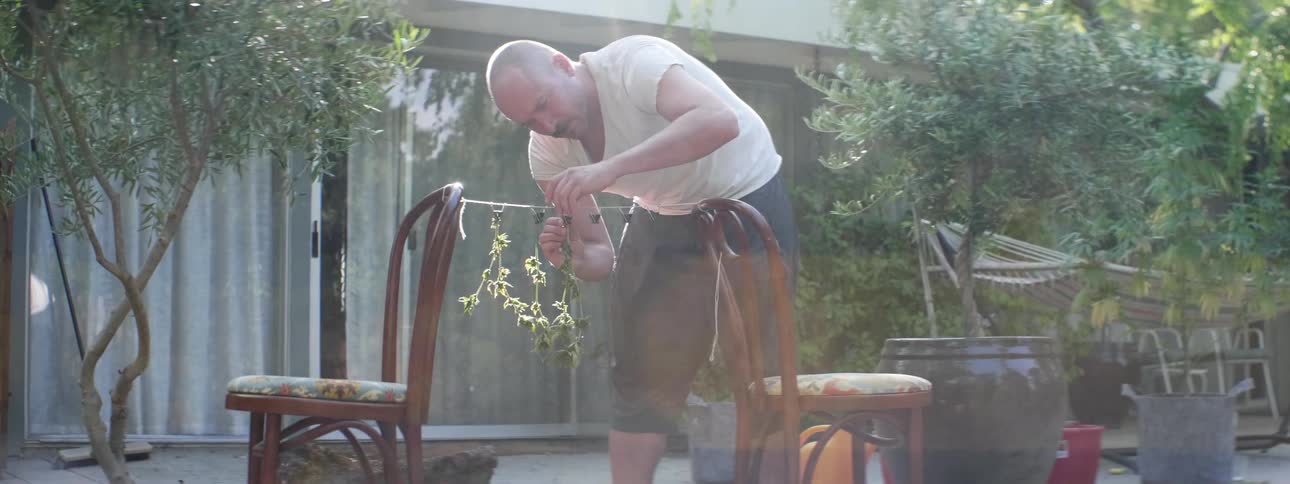 A man outside his home hangs cannabis plants to dry