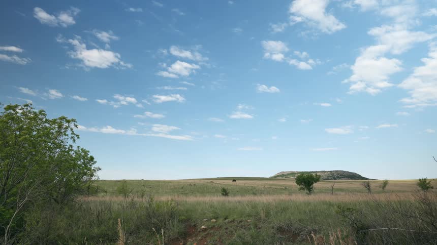 A grassland area with a mesa in the background on a partly cloudy day