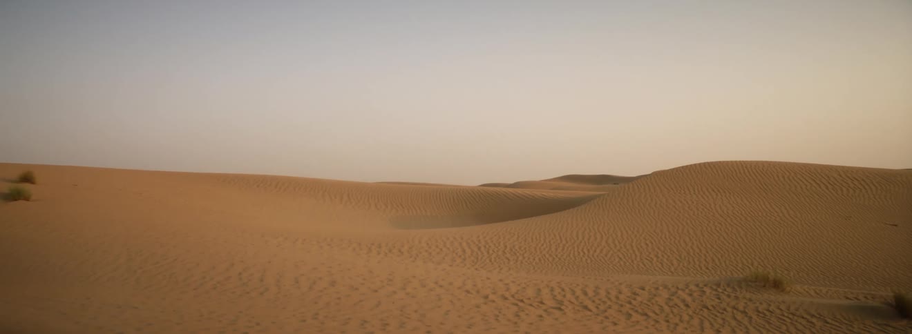 A desert with shrubs and dunes on a windy day with blowing dust in the daytime