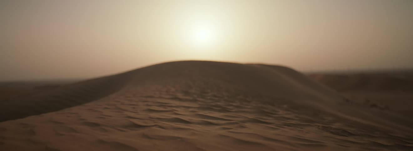A pattern forms in the soil on a sand dune