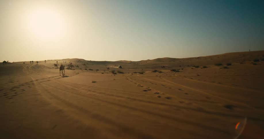 A vehicle travels off road through the desert during the day