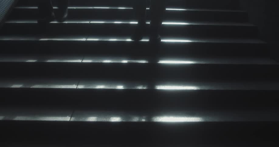 Pedestrians are ascending and descending a stairway in the fall season during the daytime