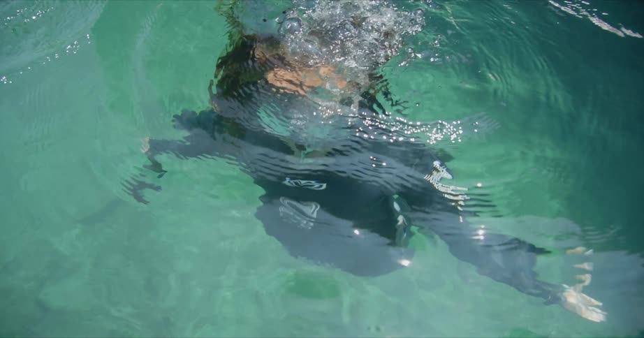 Female diver with brown hair black mask and wetsuit dives into water