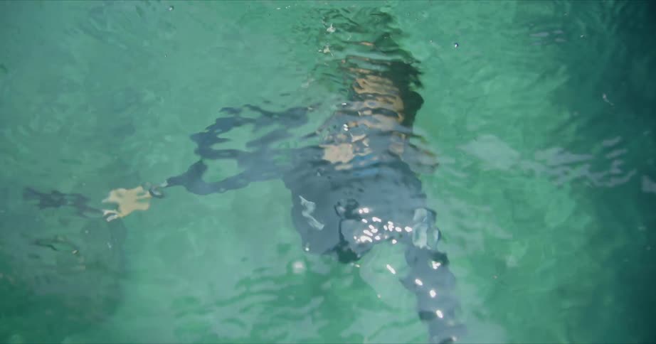 A diver is moving under the water