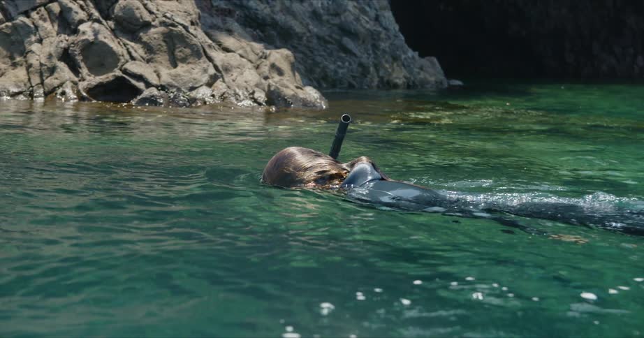 A woman snorkeling outdoors in the water