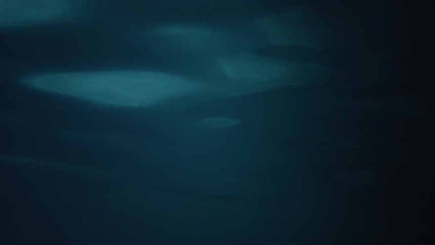 Sunlight shines through the surface of a body of water