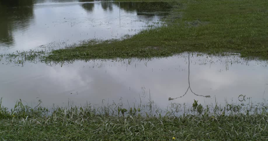 A lamppost and cloudy sky are reflected on the surface of the water