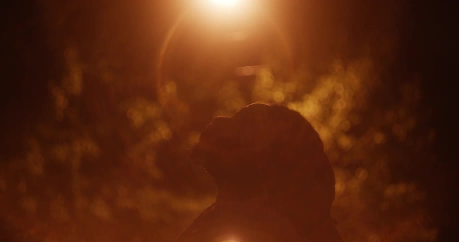 A silhouette of a man with trees in the background
