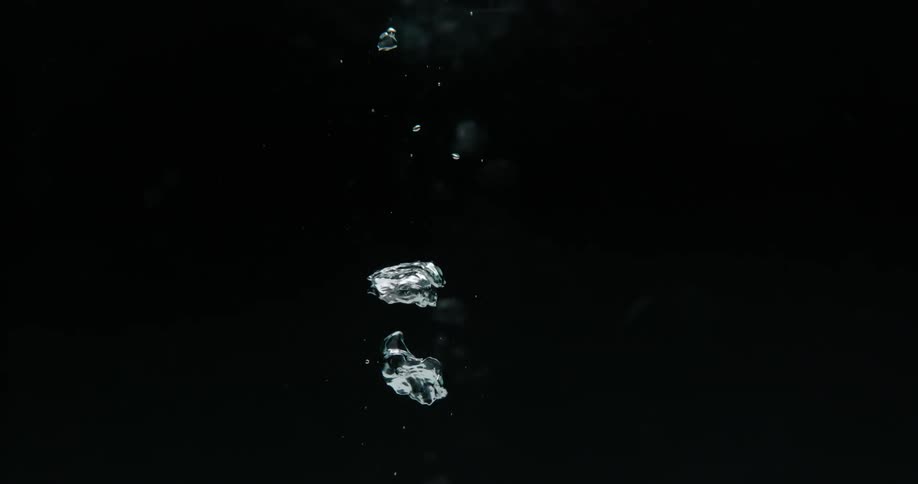 Bubbles rise in the dark water