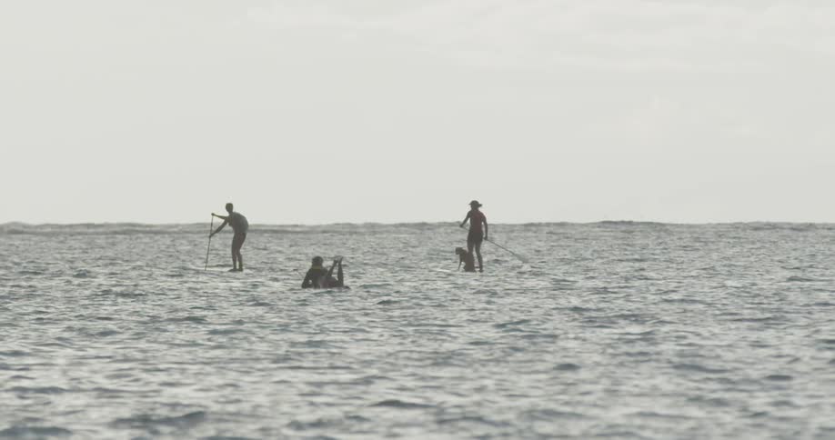 People are paddling and floating in the water