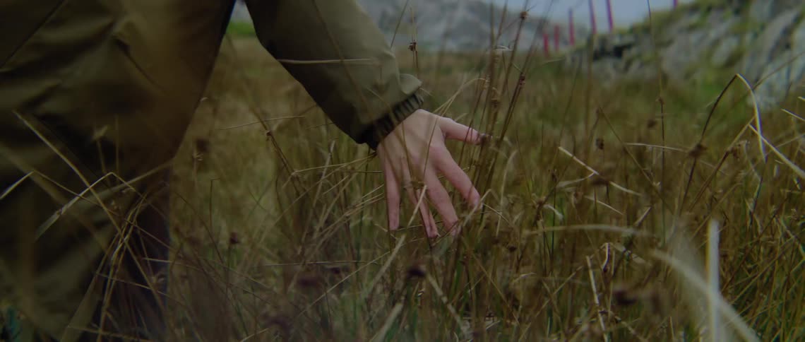Someone wearing a long coat is walking through tall grass and weeds on a windy day and holding their hand out touching the weeds