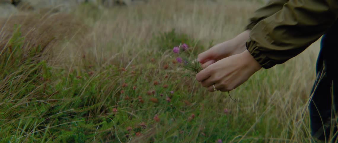 A person with a ring picking flowers in a grassy field with rocks in the background
