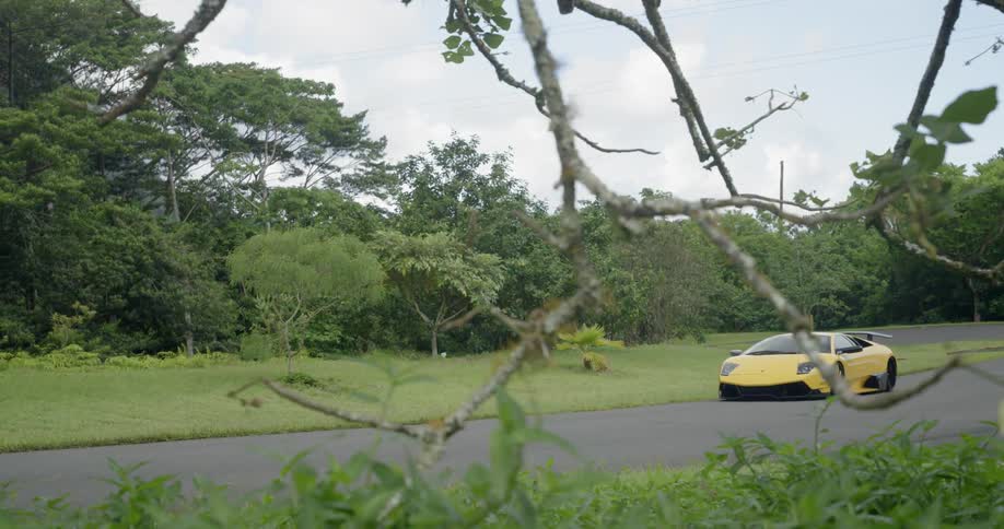 Yellow sports car parked on the side of road near forest area