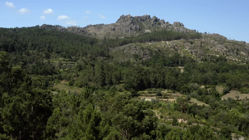 An aerial view of rural farmland in a forest on a mountain side during the daytime