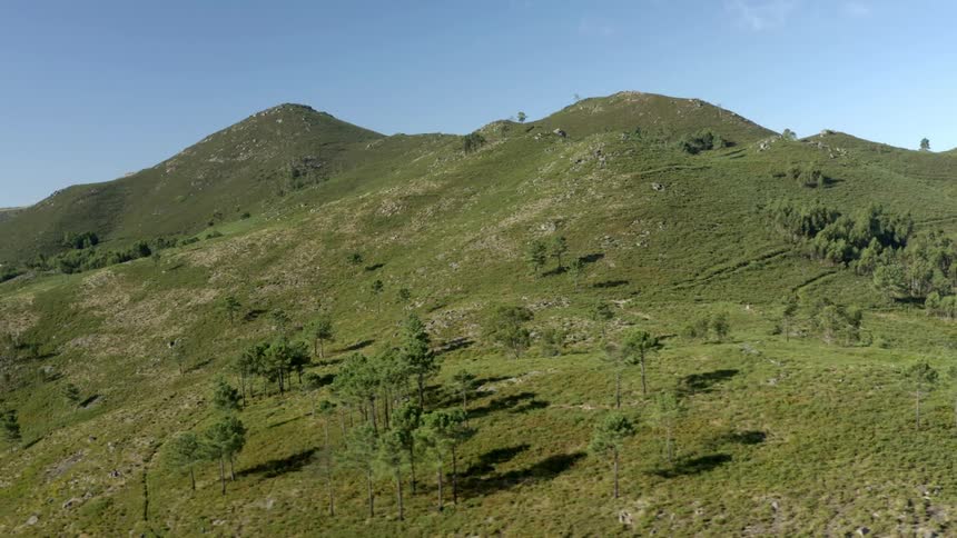Rolling hills covered in grass