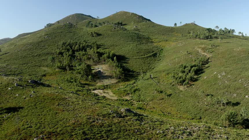 Grass covered hills and trees under a clear sky