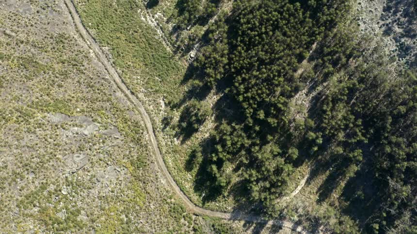 An aerial view of a grassland next to a forest