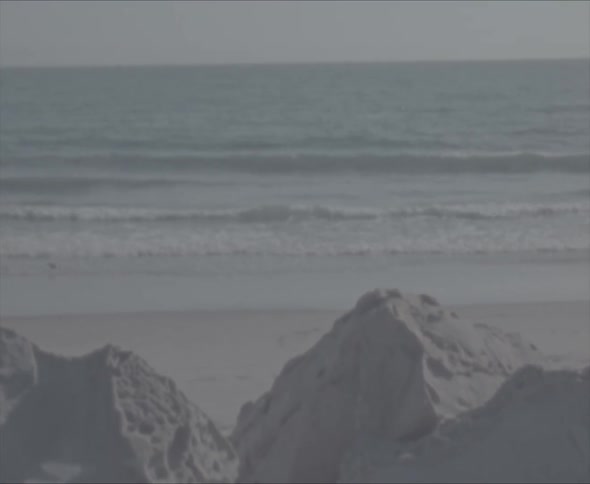 A bird walking on the shore as waves roll in