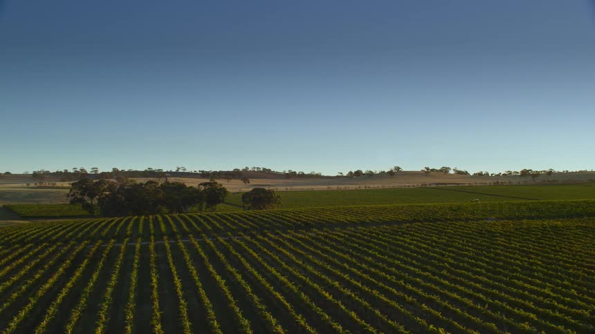 A large field spans most of the landscape