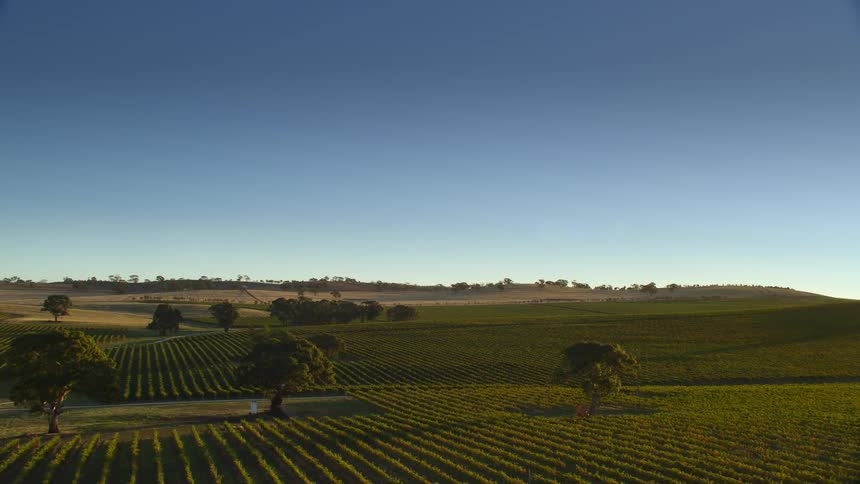 Aerial view of farmlands with blue sky