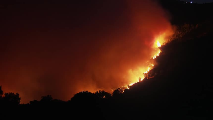 Flames and thick smoke burn trees on a slope at night with flashing emergency lights above