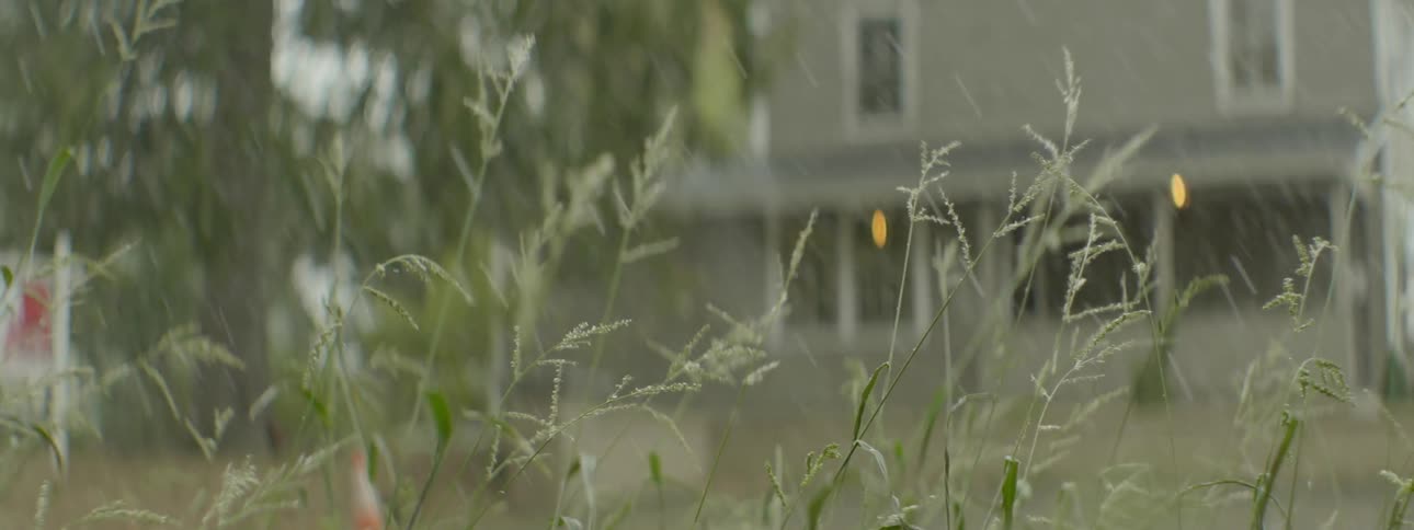 Rain falls on tall grasses near a home