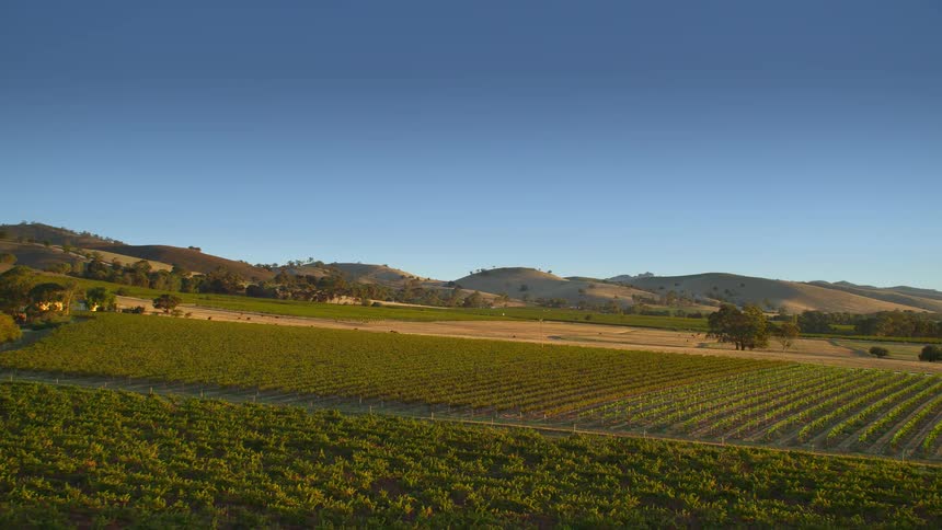 Farmland growing crops