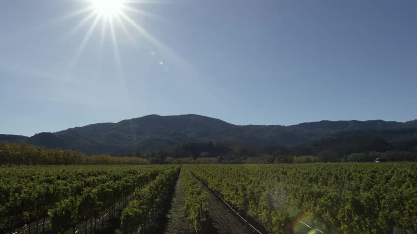 The sun shines brightly on a field of crops and mountains in the distance