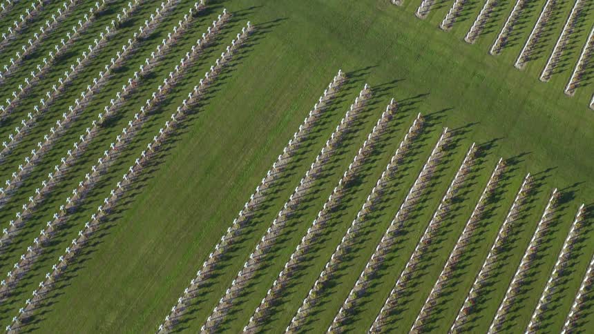 Aerial view of rows upon rows of crosses at a cemetery