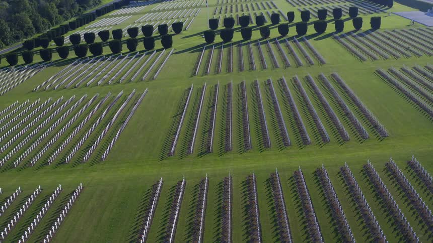 Mass graves in a graveyard