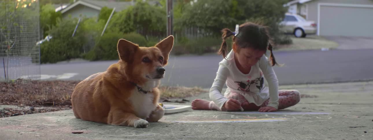 A little girl is sitting with her dog and drawing on a concrete driveway in the daytime