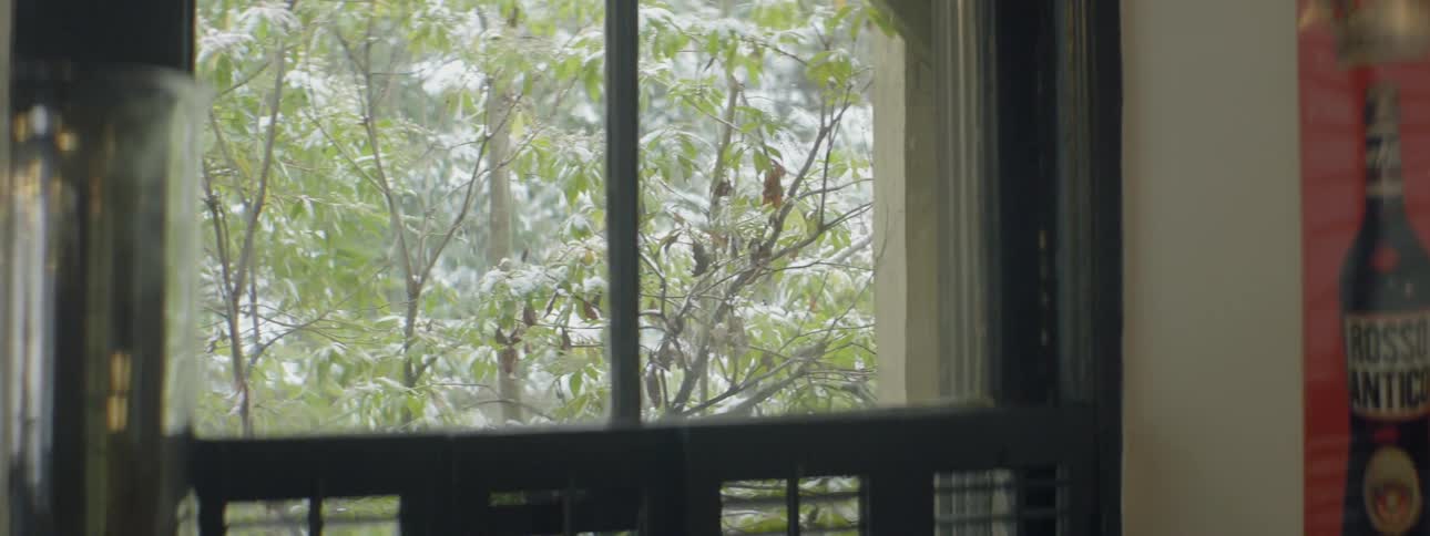 View outside a window of trees as it snows